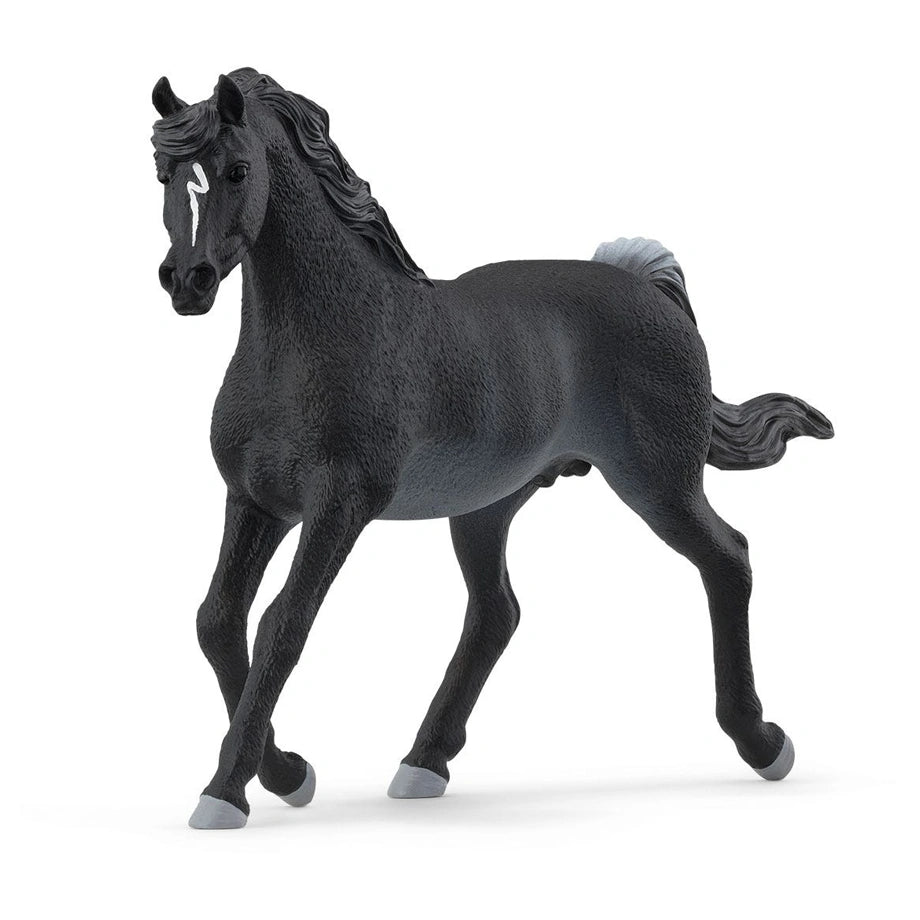 Schleich Horse Club Arabian Stallion Figure (15 x 4.5 x 10 cm, Black)