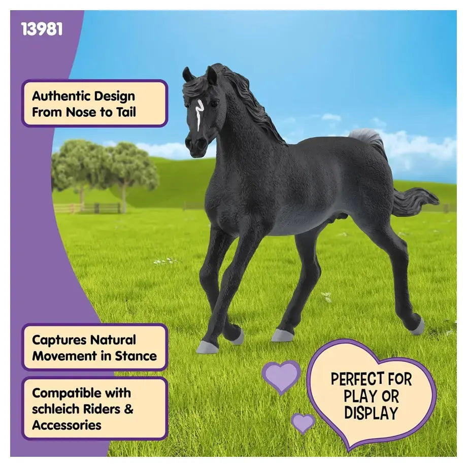 Schleich Horse Club Arabian Stallion Figure (15 x 4.5 x 10 cm, Black)