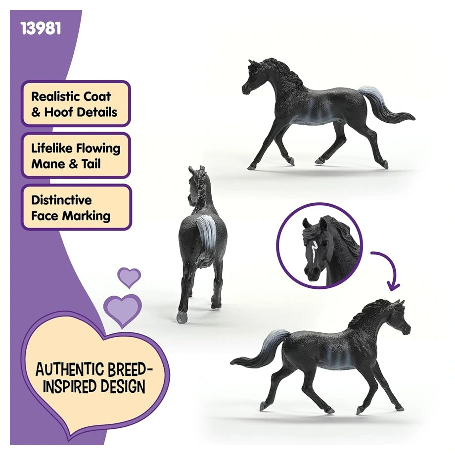 Schleich Horse Club Arabian Stallion Figure (15 x 4.5 x 10 cm, Black)