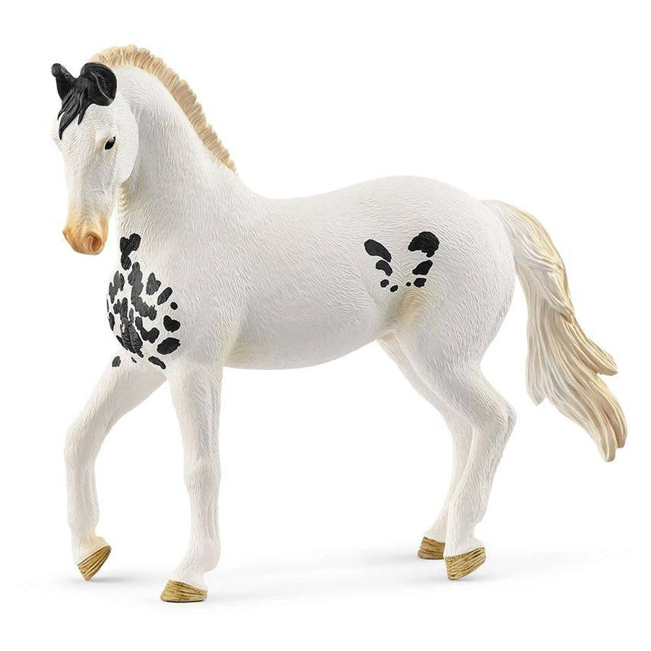 Schleich Horse Club Marwari Stallion Figure (13.3 x 4.5 x 11.2 cm, White)