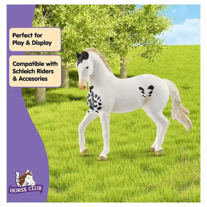 Schleich Horse Club Marwari Stallion Figure (13.3 x 4.5 x 11.2 cm, White)
