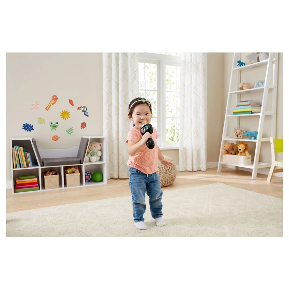 Vtech Singing Sounds Microphone