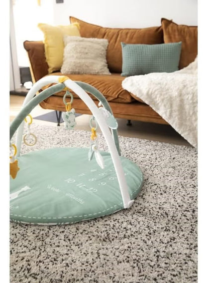 Sophie La Girafe Reverso Playmat Adjustable Arches Activity Center (Multicolour)