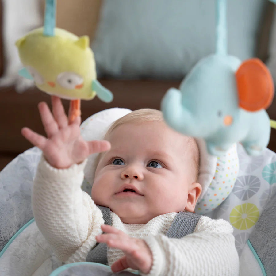 أرجوحة محمولة من Ingenuity Swing 'n Go مع عناق وهتافات أرجوحة محمولة من Ingenuity Swing 'n Go مع عناق وهتافات