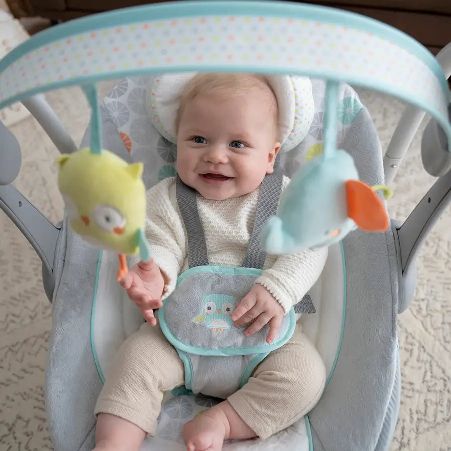 أرجوحة محمولة من Ingenuity Swing 'n Go مع عناق وهتافات أرجوحة محمولة من Ingenuity Swing 'n Go مع عناق وهتافات