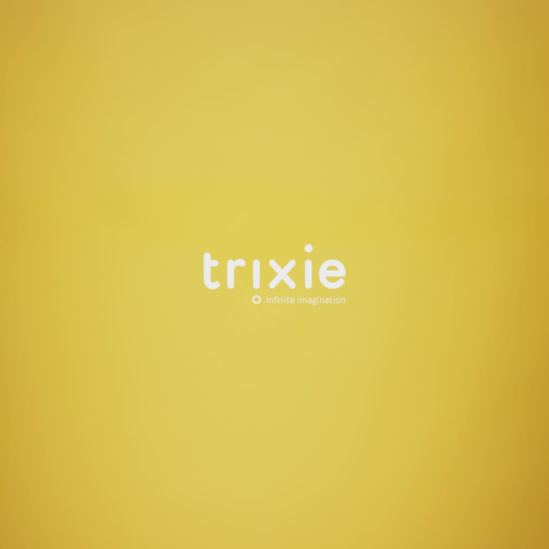Trixie Stainless Steel Water Bottle 350ml (Mr Lion)