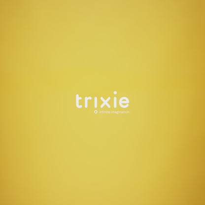 Trixie Stainless Steel Water Bottle 350ml (Mr Lion)
