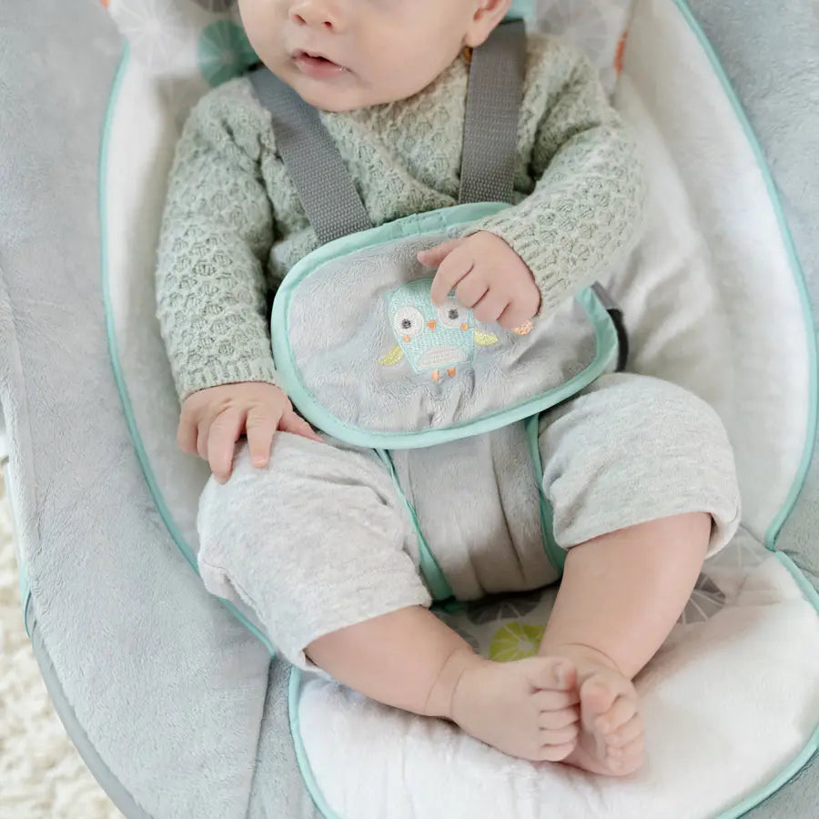 أرجوحة محمولة من Ingenuity Swing 'n Go مع عناق وهتافات أرجوحة محمولة من Ingenuity Swing 'n Go مع عناق وهتافات