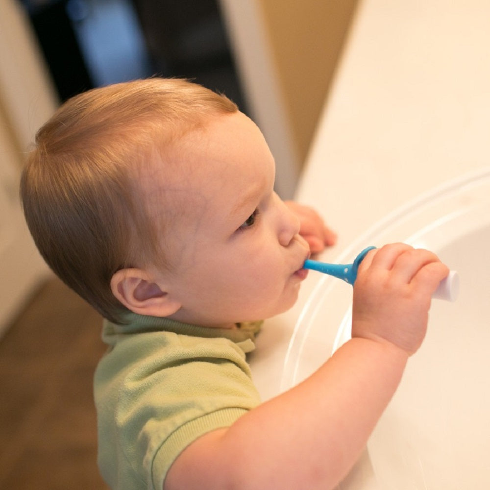 <tc>فرشاة أسنان للأطفال الرضع إلى الأطفال الصغار، بتصميم الفيل الأزرق، عبوة واحدة</tc>