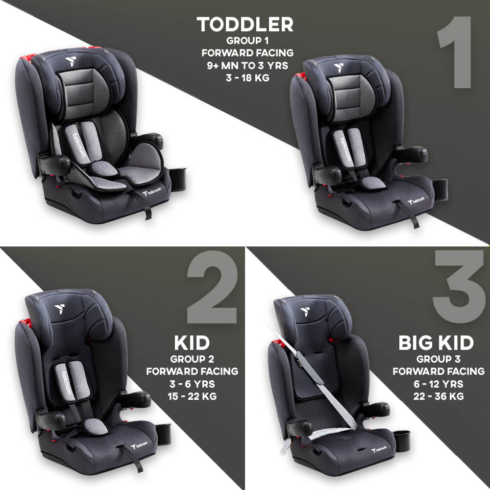 Teknum - Pack and Go Foldable Car Seat (Grey)